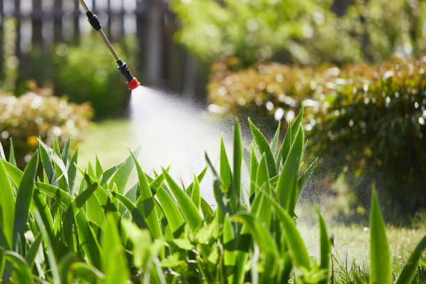 24/7 Emergency Cockroach Control experts in Lovejoy, GA